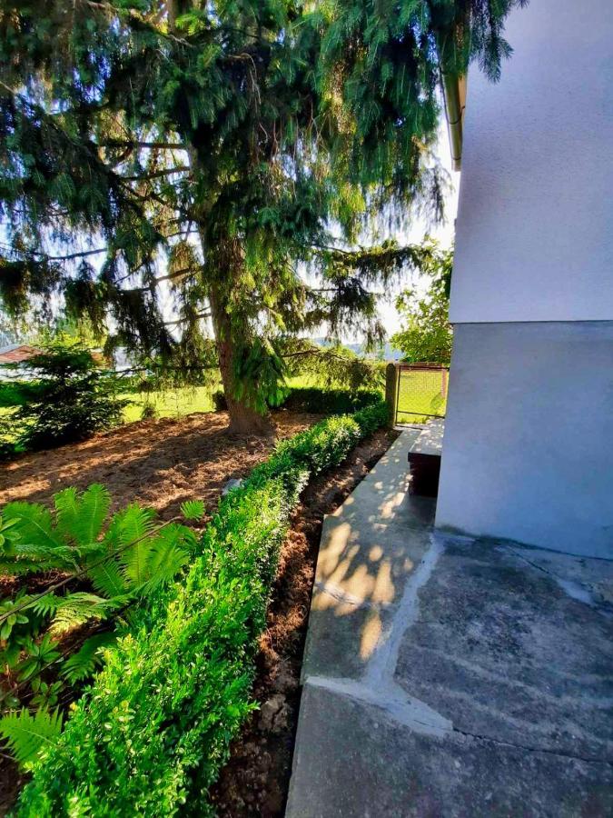 Rooms Optim Ptuj Bagian luar foto